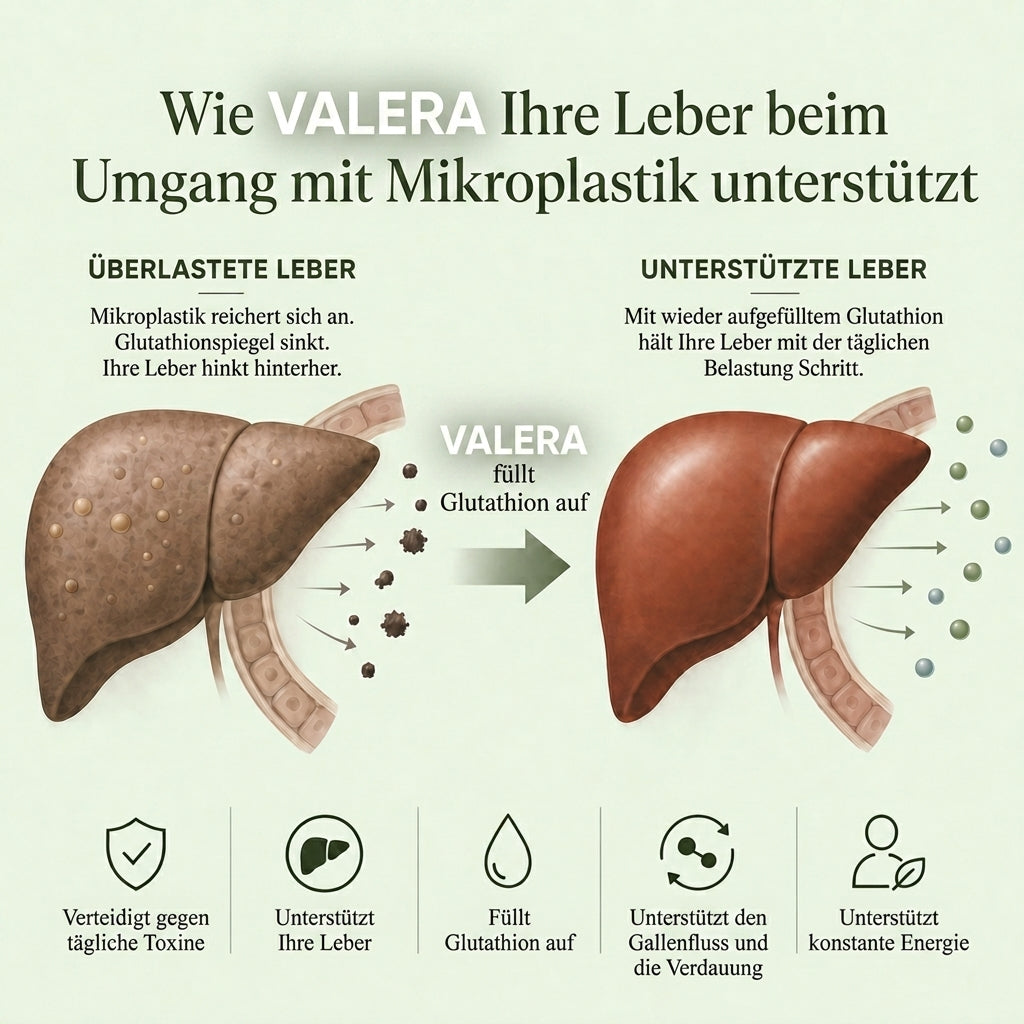 Kompletter Leber-Detox – 20:1