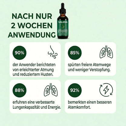 Reine Königskerzen Extrakttropfen – Lungendetoxformel