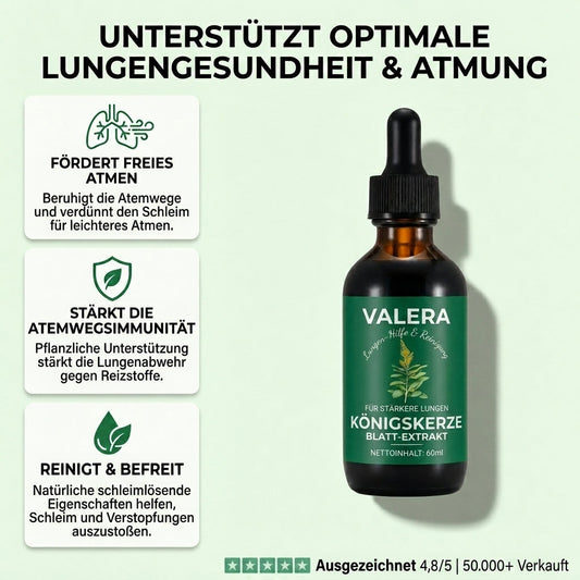 Reine Königskerzen Extrakttropfen – Lungendetoxformel