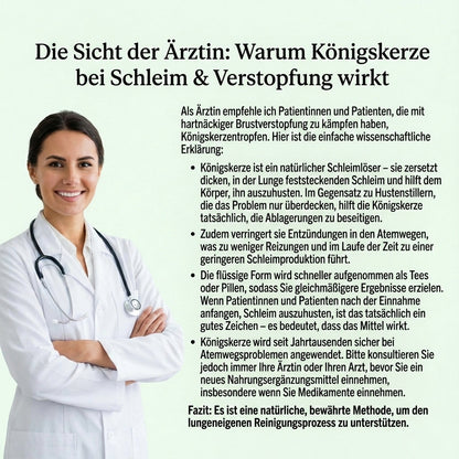Reine Königskerzen Extrakttropfen – Lungendetoxformel